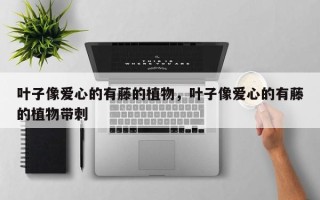 叶子像爱心的有藤的植物，叶子像爱心的有藤的植物带刺