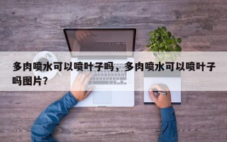 多肉喷水可以喷叶子吗，多肉喷水可以喷叶子吗图片？