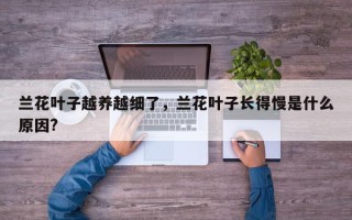 兰花叶子越养越细了，兰花叶子长得慢是什么原因?