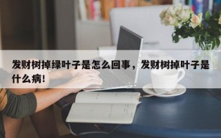 发财树掉绿叶子是怎么回事，发财树掉叶子是什么病！