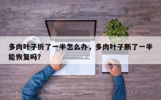 多肉叶子折了一半怎么办，多肉叶子断了一半能恢复吗？