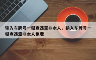 输入车牌号一键查违章非本人，输入车牌号一键查违章非本人免费