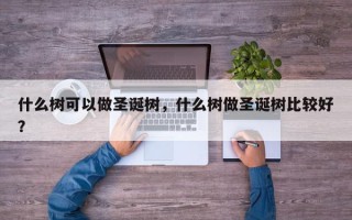 什么树可以做圣诞树，什么树做圣诞树比较好？