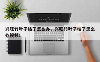兴旺竹叶子枯了怎么办，兴旺竹叶子枯了怎么办视频！
