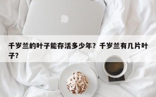 千岁兰的叶子能存活多少年？千岁兰有几片叶子？