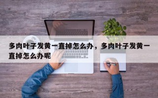 多肉叶子发黄一直掉怎么办，多肉叶子发黄一直掉怎么办呢