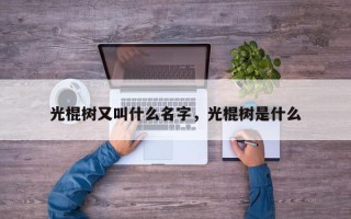 光棍树又叫什么名字，光棍树是什么