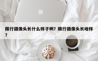 限行摄像头长什么样子啊？限行摄像头长啥样？