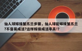 仙人球嫁接蟹爪兰步骤，仙人球能嫁接蟹爪兰?不容易成活?这样嫁接成活率高!？