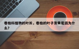 卷柏科植物的叶长，卷柏的叶子发黄是因为什么？