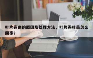 叶片卷曲的原因及处理方法，叶片卷叶是怎么回事？