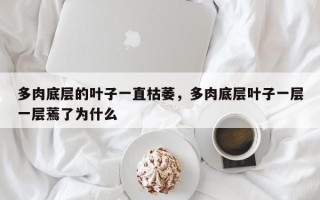 多肉底层的叶子一直枯萎，多肉底层叶子一层一层蔫了为什么