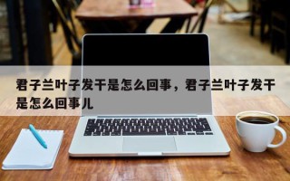 君子兰叶子发干是怎么回事，君子兰叶子发干是怎么回事儿