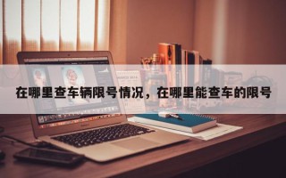 在哪里查车辆限号情况，在哪里能查车的限号