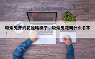 吸烟鬼开的花是啥样子，吸烟鬼花叫什么名字！