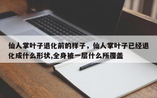 仙人掌叶子退化前的样子，仙人掌叶子已经退化成什么形状,全身被一层什么所覆盖
