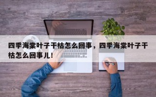 四季海棠叶子干枯怎么回事，四季海棠叶子干枯怎么回事儿！
