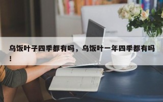 乌饭叶子四季都有吗，乌饭叶一年四季都有吗！