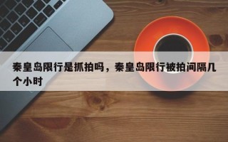 秦皇岛限行是抓拍吗，秦皇岛限行被拍间隔几个小时