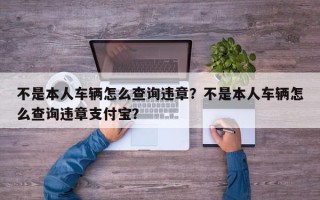 不是本人车辆怎么查询违章？不是本人车辆怎么查询违章支付宝？