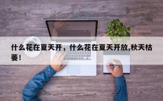 什么花在夏天开，什么花在夏天开放,秋天枯萎！