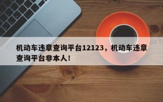 机动车违章查询平台12123，机动车违章查询平台非本人！