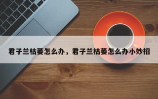 君子兰枯萎怎么办，君子兰枯萎怎么办小妙招