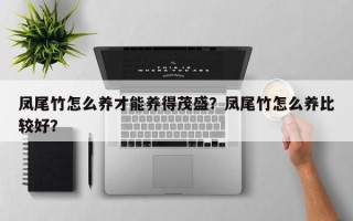 凤尾竹怎么养才能养得茂盛？凤尾竹怎么养比较好？