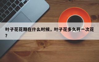 叶子花花期在什么时候，叶子花多久开一次花？
