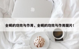 全蝎的功效与作用，全蝎的功效与作用图片！