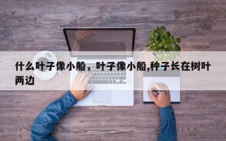 什么叶子像小船，叶子像小船,种子长在树叶两边