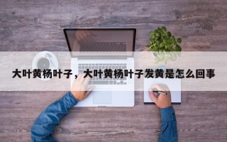 大叶黄杨叶子，大叶黄杨叶子发黄是怎么回事
