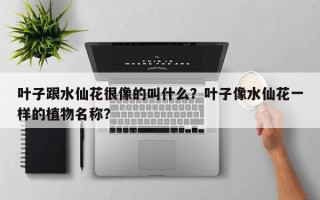 叶子跟水仙花很像的叫什么？叶子像水仙花一样的植物名称？