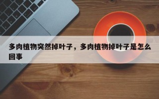 多肉植物突然掉叶子，多肉植物掉叶子是怎么回事