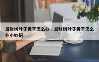 发财树叶子黄干怎么办，发财树叶子黄干怎么办小妙招