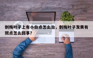 刺梅叶子上有小白点怎么治，刺梅叶子发黄有斑点怎么回事？