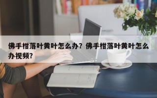 佛手柑落叶黄叶怎么办？佛手柑落叶黄叶怎么办视频？