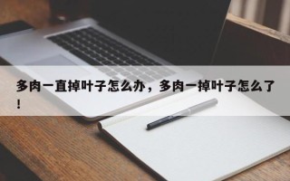 多肉一直掉叶子怎么办，多肉一掉叶子怎么了！