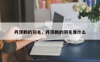 丹顶鹤的羽毛，丹顶鹤的羽毛像什么