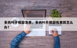 多肉叶子根部发黑，多肉叶片根部有黑斑怎么办？