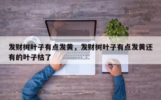 发财树叶子有点发黄，发财树叶子有点发黄还有的叶子枯了