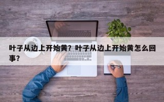 叶子从边上开始黄？叶子从边上开始黄怎么回事？