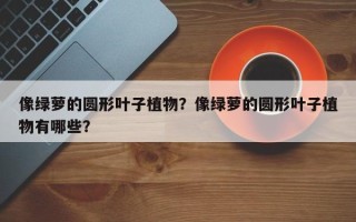 像绿萝的圆形叶子植物？像绿萝的圆形叶子植物有哪些？