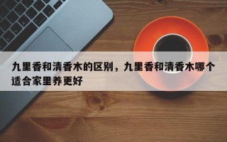 九里香和清香木的区别，九里香和清香木哪个适合家里养更好