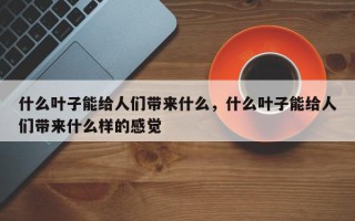 什么叶子能给人们带来什么，什么叶子能给人们带来什么样的感觉