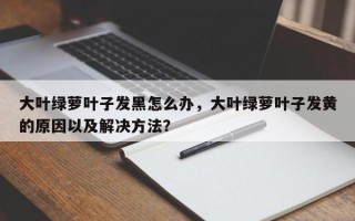 大叶绿萝叶子发黑怎么办，大叶绿萝叶子发黄的原因以及解决方法？