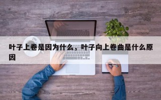 叶子上卷是因为什么，叶子向上卷曲是什么原因