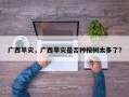 广西旱灾，广西旱灾是否种桉树太多了？