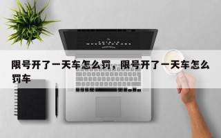 限号开了一天车怎么罚，限号开了一天车怎么罚车