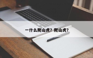 一什么爬山虎？爬山虎？